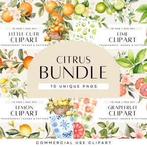Baby shower floreale e agrumato, bundle di clipart di frutta, set di frutti carini, limone mediterraneo, clipart di piccola bellezza, uso commerciale, trasparente