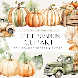 Kleiner Kürbis Clipart, ein kleiner Kürbis ist auf dem Weg Babyparty-Einladung, neutrales gemütliches Aquarell, Boho transparente PNG, kommerzielle Nutzung