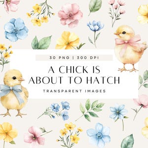 Clipart babykuiken, lentebloemen boeket, prep the Nest babyshower, bijna uitkomen aquarel illustraties, commercieel gebruik, transparante png