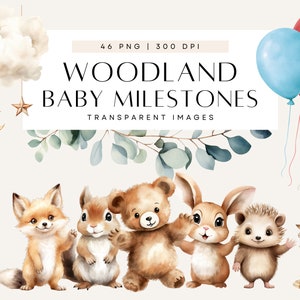 Clipart baby shower sur le thème des bois, événements marquants, clipart animaux Boho, ballon ours aquarelle, lot, usage commercial, PNG transparent