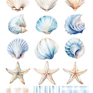 Cute Sea Shell Clip Art Neutral Beige Blue Commercial Use PNG
