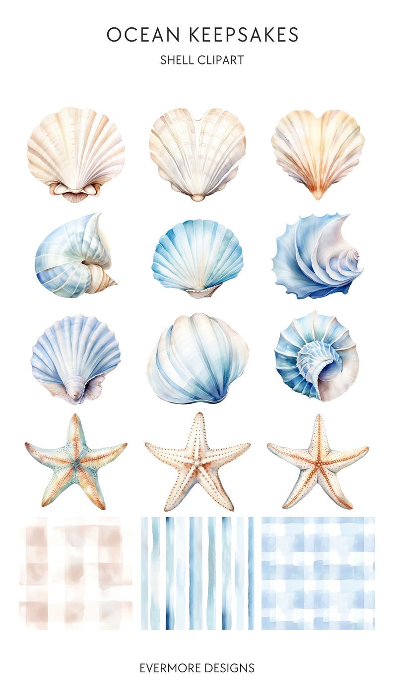 Cute Sea Shell Clip Art Neutral Beige Blue Commercial Use PNG