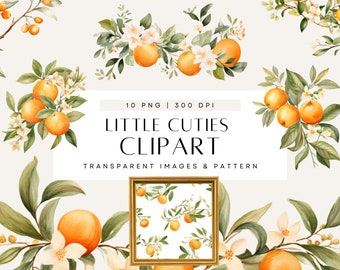 Little Cutie Clipart, Watercolor Orange Clipart, A Little Cutie Is On The Way, Citrus Clip Art, Greenery, Commercial Use, Transparent PNG