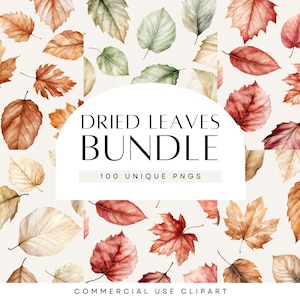 Clipart de feuilles d'érable, aquarelle feuille d'automne, feuille séchée, lot aquarelle automne, feuillage d'automne, usage commercial, PNG Transparent