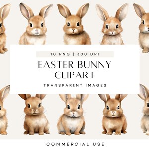 Niedliche Baby Osterhase Clipart, Osterhasen, Baby Hase, Aquarell Clip Art, Kinderzimmer Clipart, Wandkunst, kommerzielle Nutzung, transparente PNG