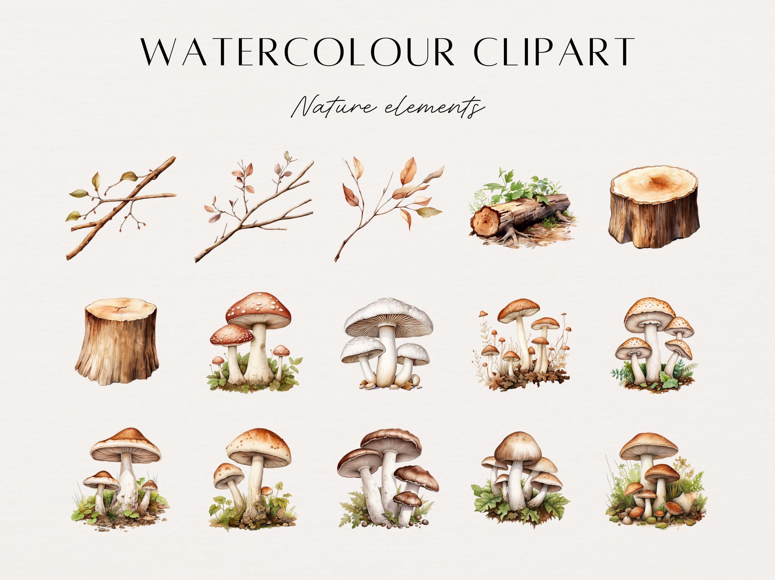 Woodland Clip Art, Watercolor Forest Clip Art, Clipart Scenes ...