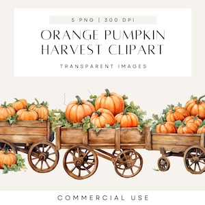 Aquarelle citrouille de Thanksgiving Clipart, clipart orange, décoration de ferme rustique, art numérique Cottagecore, PNG transparent, usage Commercial
