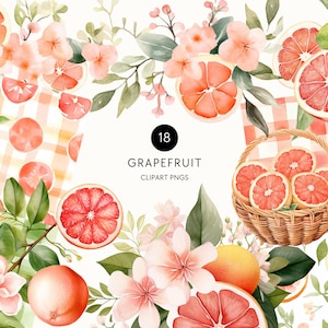Clipart di agrumi rosa, clipart di pompelmo acquerello, invito per baby shower con spremuta principale, frutta e verde, uso commerciale, PNG trasparente