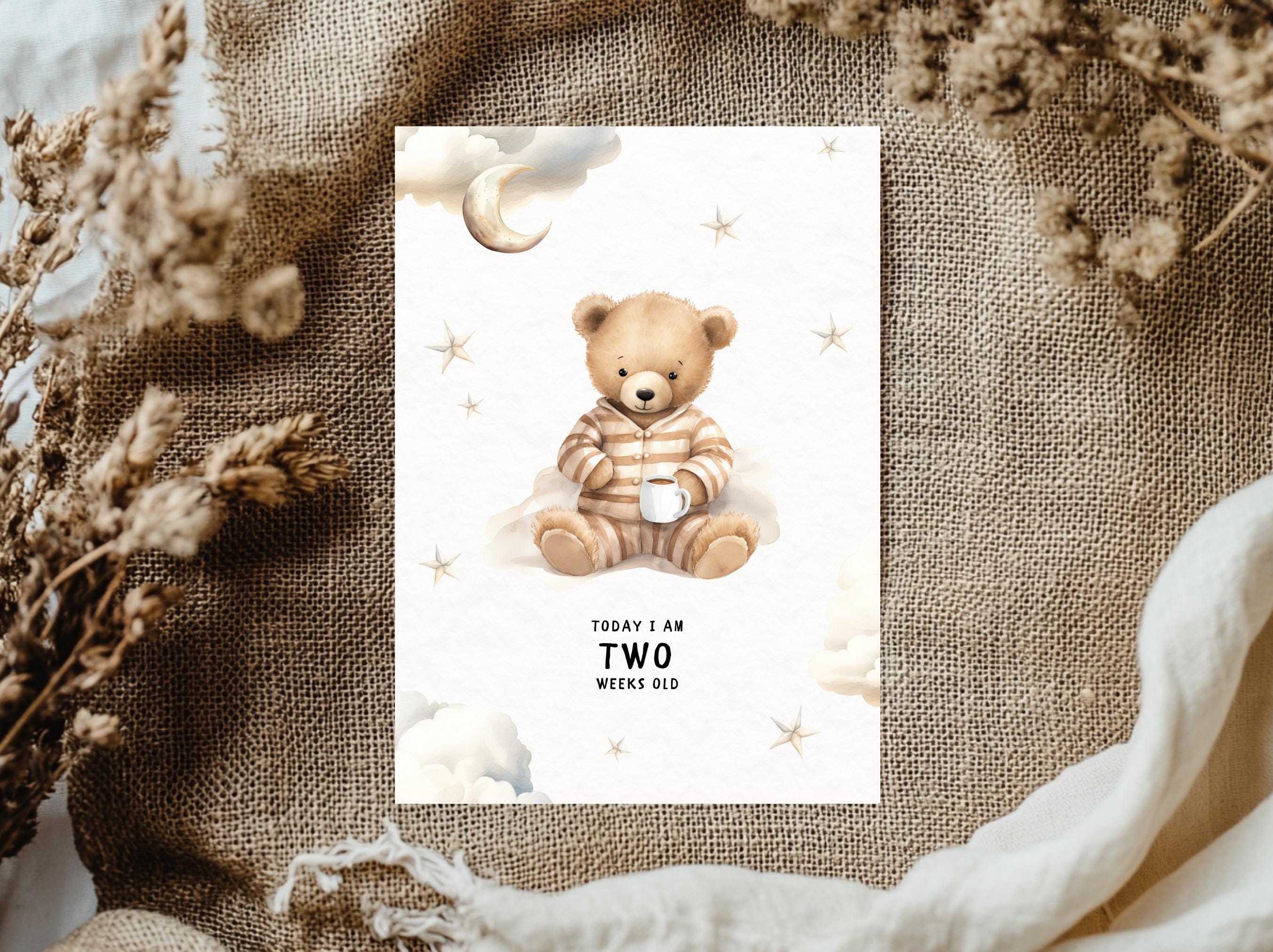 Watercolor Teddy Bear Clipart BUNDLE, Neutral Boho Nursery, Baby Shower ...