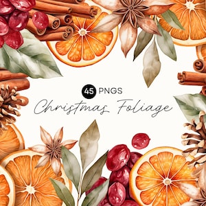 Classic Christmas Clipart, Winter Foliage, Citrus, Dried Orange, Cinnamon, Star Anise, Pine Cone, Bay Leaves, Commercial Use, Transparent