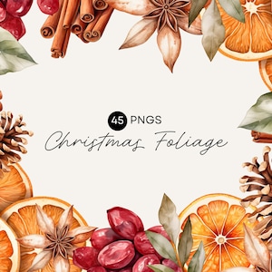 Classic Christmas Clipart, Winter Foliage, Citrus, Dried Orange, Cinnamon, Star Anise, Pine Cone, Bay Leaves, Commercial Use, Transparent