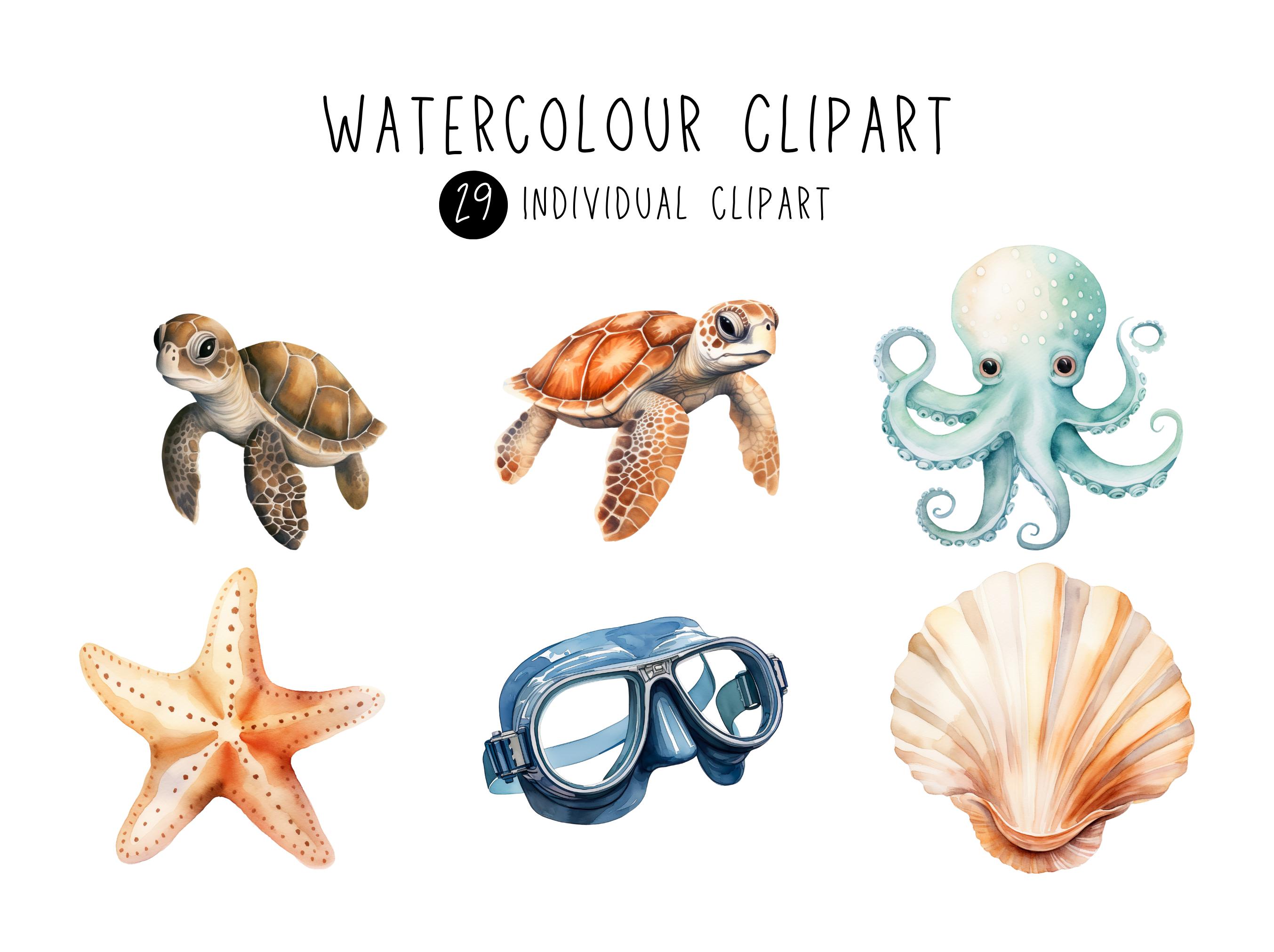 Watercolor Turtle Clipart, Nursery Clipart, Sea Turtles Birthday Party ...