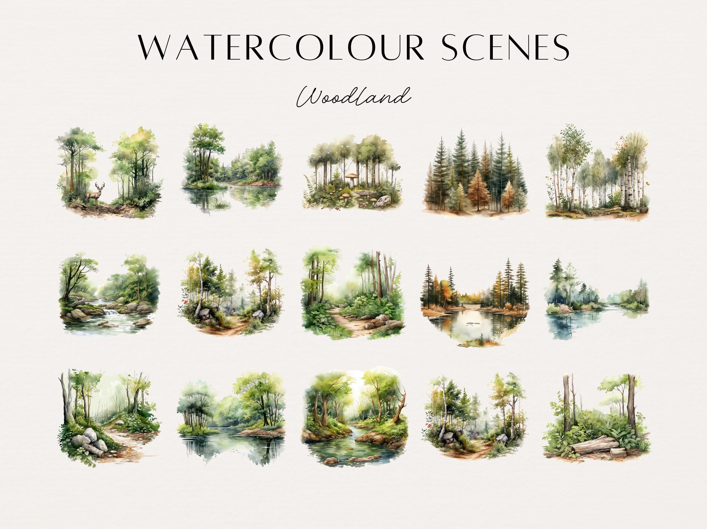 Woodland Clip Art, Watercolor Forest Clip Art, Clipart Scenes ...