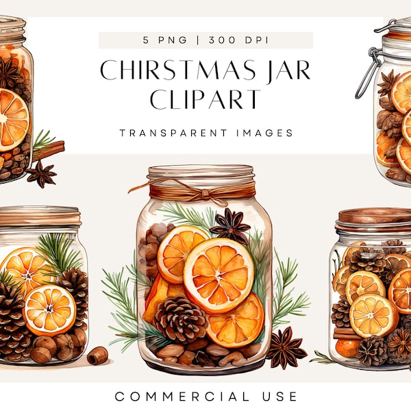 Boho Christmas Clipart, Citrus Clip Art, Dried Orange, Winter Foliage, Bohemian Wedding, Pine Cone, Mason Jar, Commercial Use, Transparent