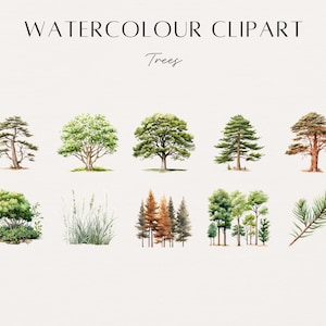 Woodland Clip Art, Watercolor Forest Clip Art, Clipart Scenes ...