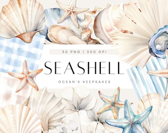 Watercolor Sea Shell Clipart, Beach Baby Baby Shower, Cute Sea Shell Clip Art, Neutral Beige and Blue, Commercial Use, Transparent PNG
