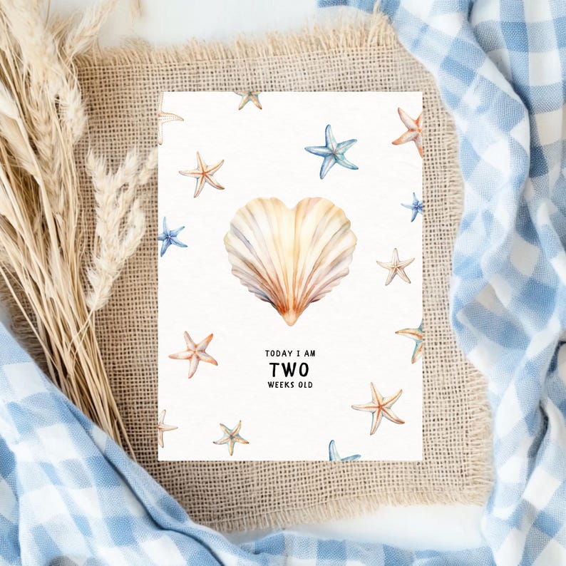 Beach Baby Shower Invitation Heart Shell Milestone Baby Decor Ideas