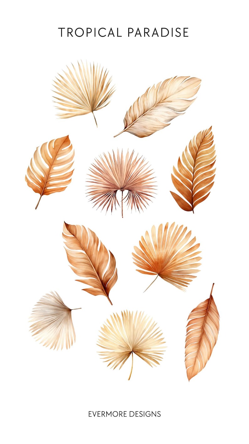 Watercolor Tropical Leaves Clipart, Summer Cocktail Clip Art, Palm Tree, Monstera, Greenery, Boho Florals, Commercial Use, Transparent PNG image 5