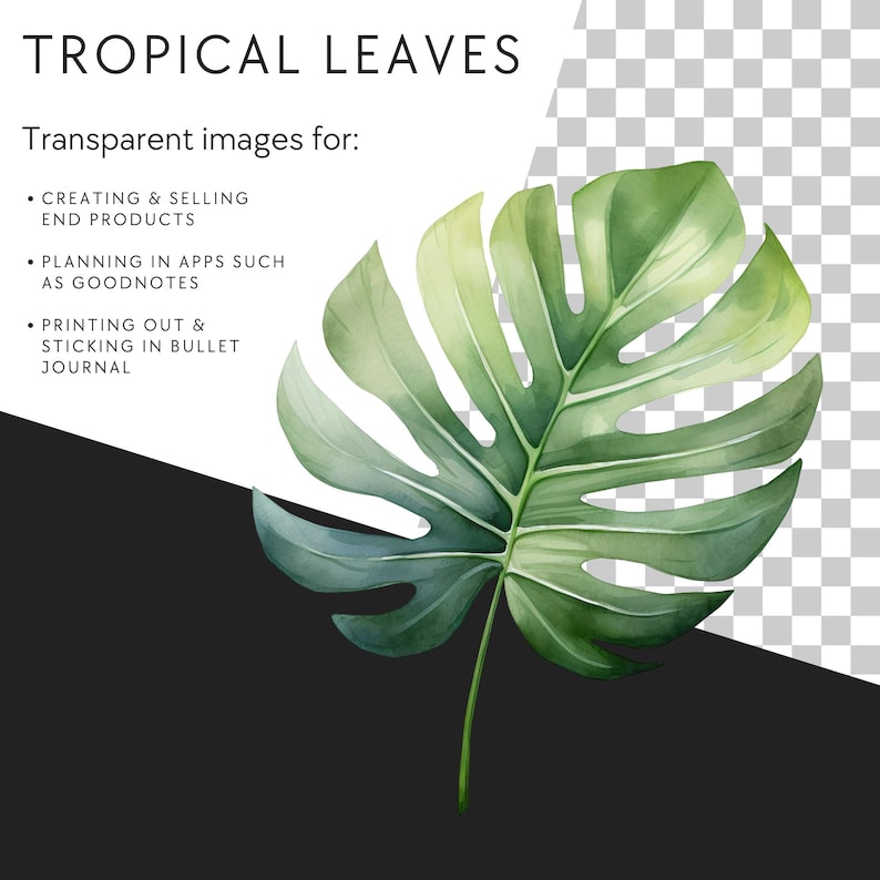 Watercolor Tropical Leaves Clipart, Summer Cocktail Clip Art, Palm Tree, Monstera, Greenery, Boho Florals, Commercial Use, Transparent PNG image 2