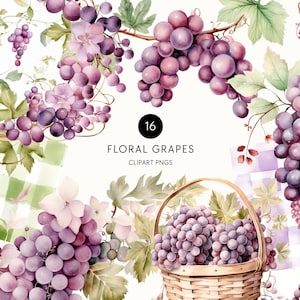 Watercolor Grape Clipart, Tutti Fruiti Baby Shower, Purple Grapes on the Vine, Invite Greenery, Commercial Use, Transparent PNG