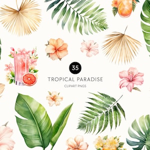 Watercolor Tropical Leaves Clipart, Summer Cocktail Clip Art, Palm Tree, Monstera, Greenery, Boho Florals, Commercial Use, Transparent PNG image 1
