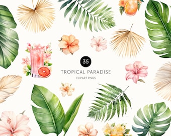 Watercolor Tropical Leaves Clipart, Summer Cocktail Clip Art, Palm Tree, Monstera, Greenery, Boho Florals, Commercial Use, Transparent PNG
