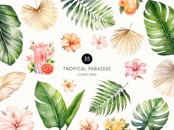 Watercolor Tropical Leaves Clipart, Summer Cocktail Clip Art, Palm Tree, Monstera, Greenery, Boho Florals, Commercial Use, Transparent PNG