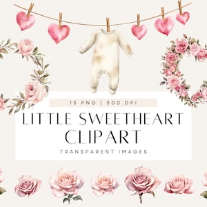 Une petite chérie arrive, clipart baby shower, faire-part premier anniversaire, floral rose poudré, usage commercial, PNG transparent