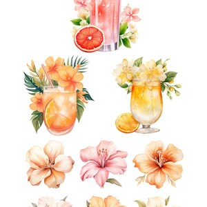 Watercolor Tropical Leaves Clipart, Summer Cocktail Clip Art, Palm Tree, Monstera, Greenery, Boho Florals, Commercial Use, Transparent PNG image 3