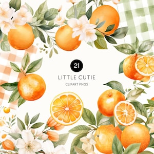 Clipart de una pequeña belleza, clipart de acuarela naranja, una pequeña belleza viene en camino, clip art de cítricos, vegetación, uso comercial, PNG transparente