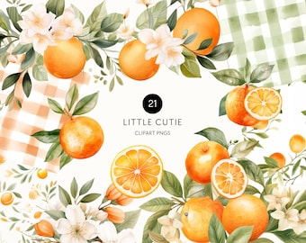 Little Cutie Clipart, Watercolor Orange Clipart, A Little Cutie Is On The Way, Citrus Clip Art, Greenery, Commercial Use, Transparent PNG