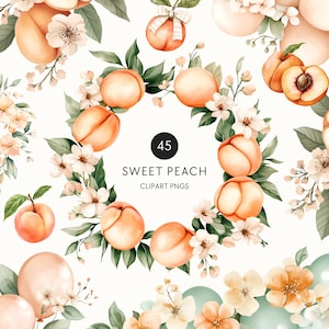 May include: Watercolor illustration featuring peaches, white blossoms, and green leaves. A circular arrangement of peaches and flowers surrounds the text "SWEET PEACH" and the number "45". The image has a soft, pastel color palette.