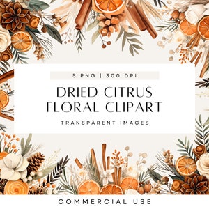 Aquarelle fleurs bouquet bohème, clipart floral orange, agrumes, orange séchée, verdure hivernale, clipart feuillage, mariage Bohème