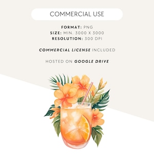 Watercolor Tropical Leaves Clipart, Summer Cocktail Clip Art, Palm Tree, Monstera, Greenery, Boho Florals, Commercial Use, Transparent PNG image 6