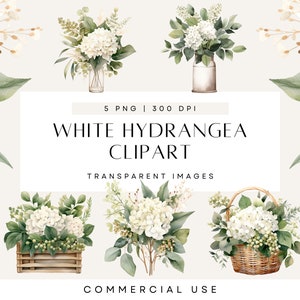 Clipart de hortênsia branca, buquê floral, vegetação de eucalipto em aquarela, folhagem, flores, clipart de casamento, PNG transparente, uso comercial