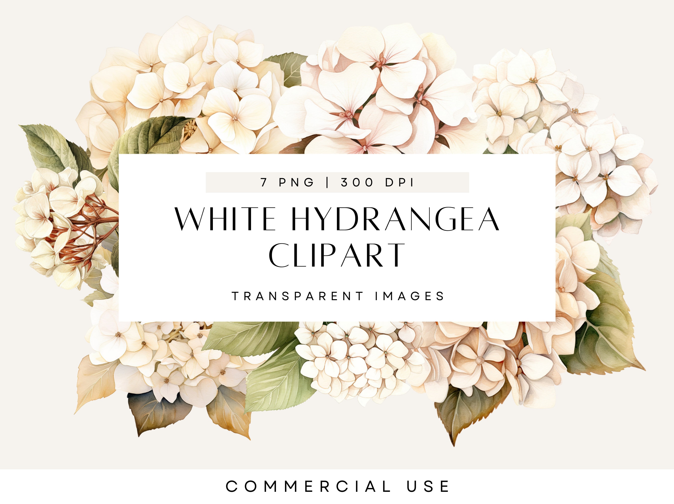 Hydrangea Printable Clipart, White Floral Clip Art, Flower Arrangement ...