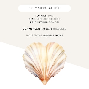Aquarell Muschel Clipart, Strand-Baby-Baby-Dusche, süße Muschel Clip Art, Neutral Beige und Blau, kommerzielle Nutzung, transparente PNG Bild 5