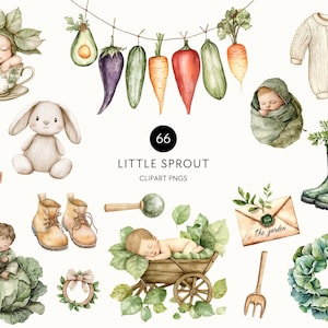 Clipart Little Sprout – Lokaal geteelde babyshower, rustieke tuin, boerenmarkt, plantaardige png