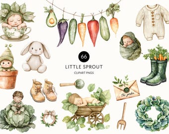 Little Sprout Clipart – Locally Grown Baby Shower, Rustic Garden, Farmers Market, Vegetable PNGs