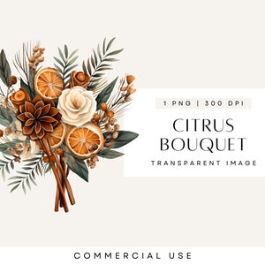 Clipart floral bohème, aquarelle fleur clipart hiver, agrumes, Orange séchée, verdure, Clipart feuillage, mariage Boho, PNG Transparent