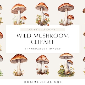 Clipart champignons sauvages, clipart champignons magiques, aquarelle neutre, champignons bohèmes, automne groovy, transparent, usage commercial, best-seller