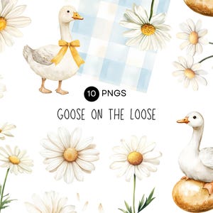 Goose Clipart Baby Shower, Goose on the Loose Invite, Daisies Watercolor Clip Art, Daisy Flower Blue Gingham, Commercial Use Transparent PNG