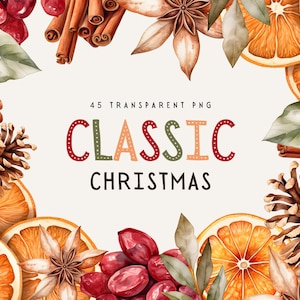 Clipart de Noël classique, feuillage d'hiver, agrumes, orange séchée, cannelle, anis étoilé, pomme de pin, feuilles de laurier, usage commercial, transparent
