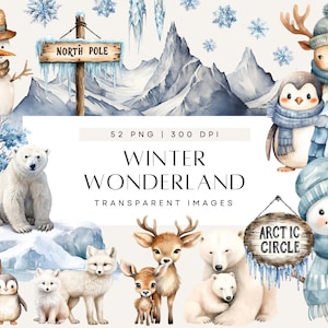 Pacote de clipart do país das maravilhas do inverno, urso polar, ártico, animais da floresta, casamento com neve, clipart em aquarela, uso comercial, PNG transparente