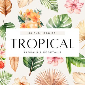 Imágenes prediseñadas de hojas tropicales de acuarela, imágenes prediseñadas de cóctel de verano, palmera, monstera, vegetación, flores boho, uso comercial, PNG transparente