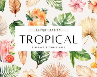 Watercolor Tropical Leaves Clipart, Summer Cocktail Clip Art, Palm Tree, Monstera, Greenery, Boho Florals, Commercial Use, Transparent PNG