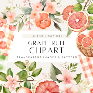 Clipart agrumes roses, clipart pamplemousse aquarelle, baby shower, fruits et verdure, utilisation commerciale, PNG Transparent