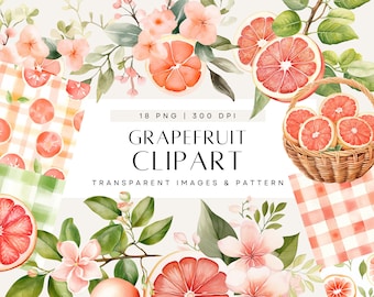 Pink Citrus Clipart, Watercolor Grapefruit Clipart, Main Squeeze Baby Shower, Fruit and Greenery Invite, Commercial Use, Transparent PNG