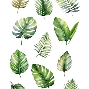 Watercolor Tropical Leaves Clipart, Summer Cocktail Clip Art, Palm Tree, Monstera, Greenery, Boho Florals, Commercial Use, Transparent PNG image 4
