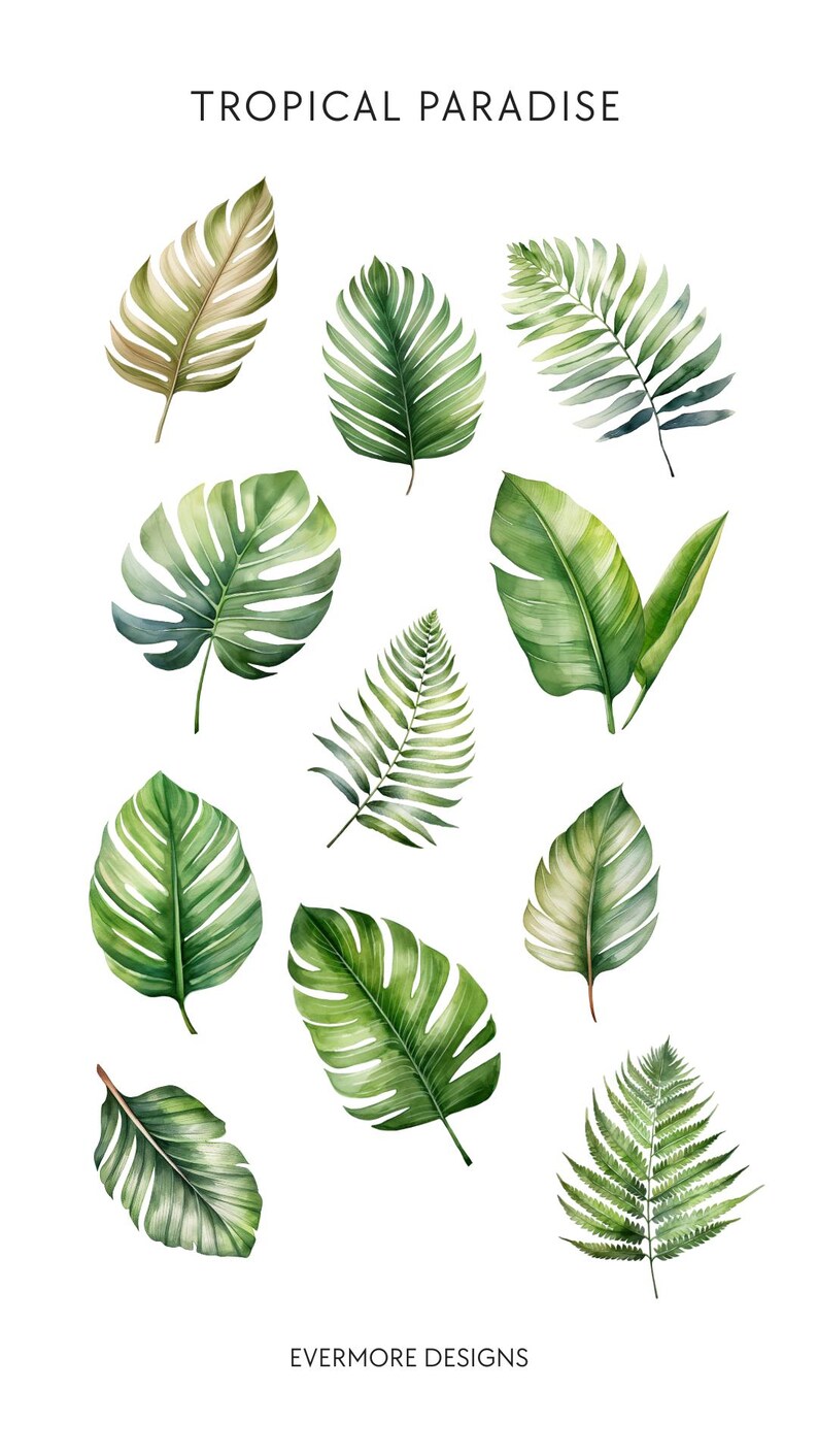 Watercolor Tropical Leaves Clipart, Summer Cocktail Clip Art, Palm Tree, Monstera, Greenery, Boho Florals, Commercial Use, Transparent PNG image 4